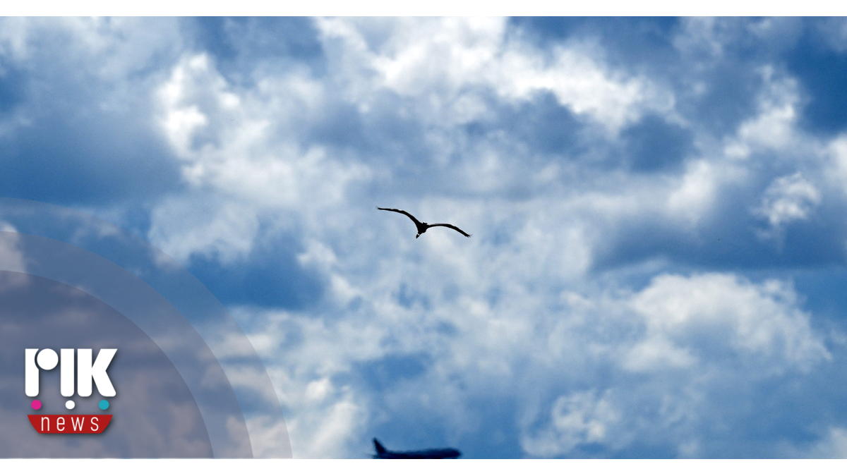 AI Generated Image